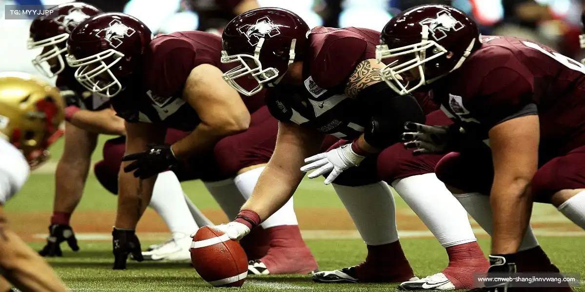 赏金女王官网——❄️雪车疾驰,冰轨流星!